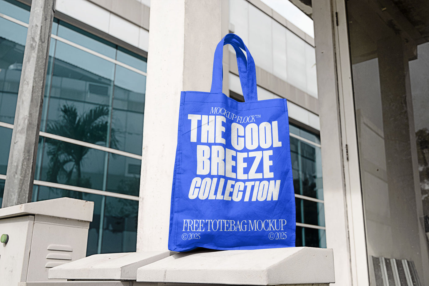 Free Canvas Tote Bag Mockup PSD